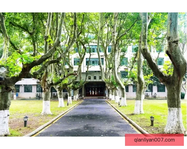 LINODE日本IPHONEDVD学校，背后竟隐藏这般惊人秘密！ 